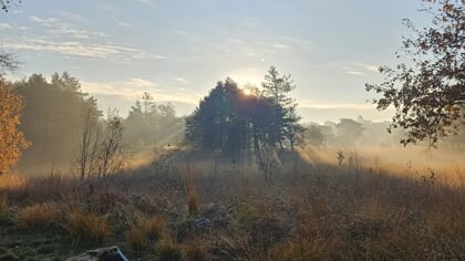 Weer over het weer: december warmer en droger
