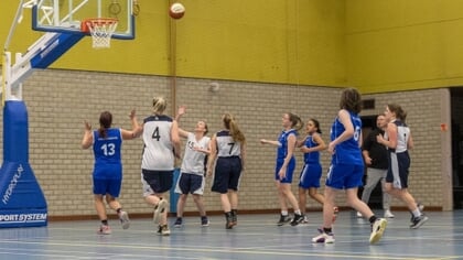 Raad kiest voor grotere sporthallen en extra capaciteit in Rooi