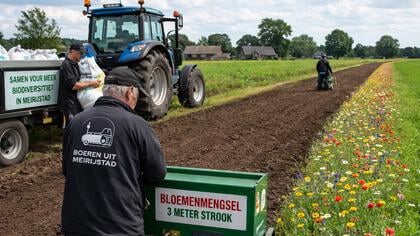Inschrijving akkerrandenactie Meierijstad gesloten