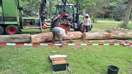 Imker pikt bijen op achter kasteel Henkenshage
