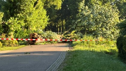 Onweersstorm zorgt voor bomen op de weg