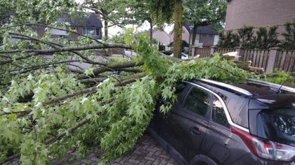Storm veroorzaakt veel schade