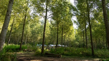 Zomertip: ontdek het mooiste van Olland tijdens afwisselende wandelroute