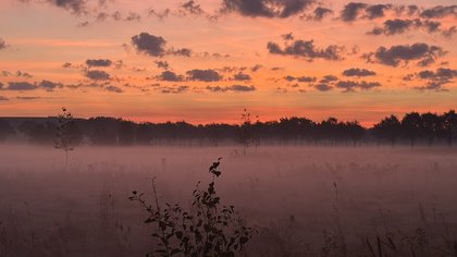 Mooie zonsopkomst boven de Veerse Heide