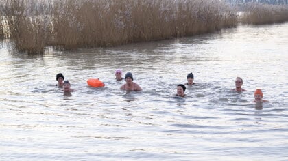 Dappere Hardinxvelders zwemmen in de vrieskou in de Merwede