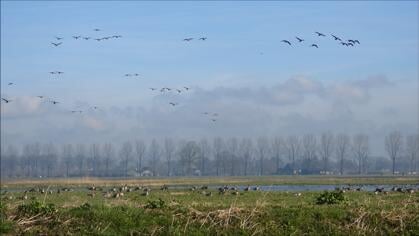 Toekomst van Binnenveld blijft onzeker: ‘Het wringt aan alle kanten’