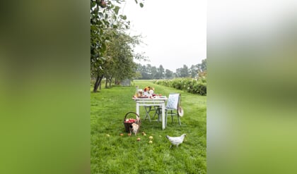 Trap, Proef & Beleef Putten op de fiets