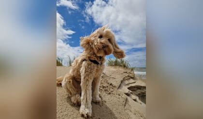 Bekijk hier alle inzendingen voor de zomerfotowedstrijd 2024 van De Rijnpost.nl
