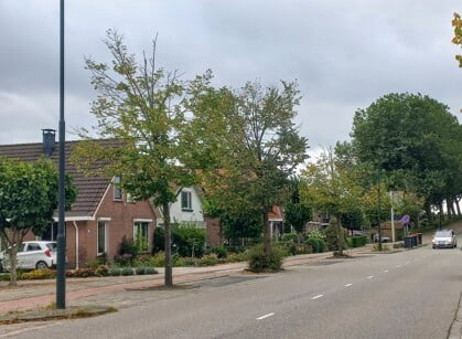 Bewoners Nieuweweg-Zuid in Hardinxveld-Giessendam niet blij met nieuwe bomen