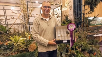 Bondskruis voor Gloster kanarie van Peter Nederveen uit Hardinxveld-Giessendam