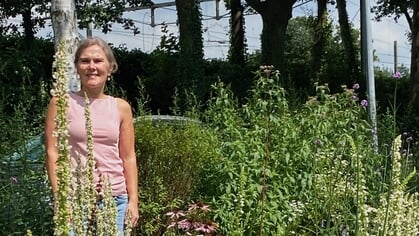 Doe mee met de eindejaarsquiz: Vraag 7 - juli
