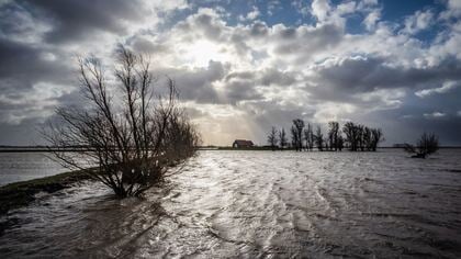 Foto-expositie 40 jaar Biesbosch MuseumEiland