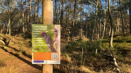 Meer recreatiepaden gaan dicht in het Leuvenumse bos voor veranderingen