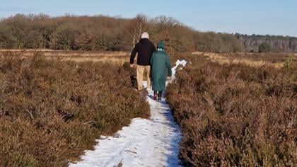 Veluwse Wandeldagen: meer informatie over de routes
