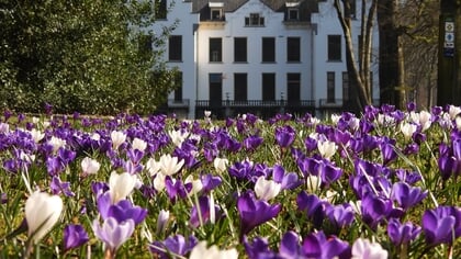 Lezersfoto’s van de natuur: ‘Als je goed om je heen kijkt, zie je dat alles gekleurd is’