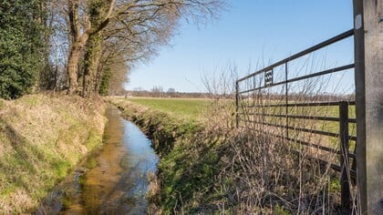 Buurten Horst en Telgt voelen zich afvoerputje: ‘Ontwikkelingsperspectief ligt in onderste bureaula’
