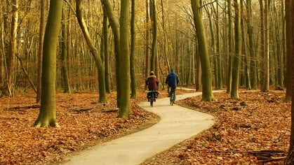 Provincie Gelderland neemt recreatie en toerisme standaard mee in ruimtelijke plannen