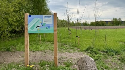 Gemeente Harderwijk heeft nog geld beschikbaar om bomen te planten in het buitengebied