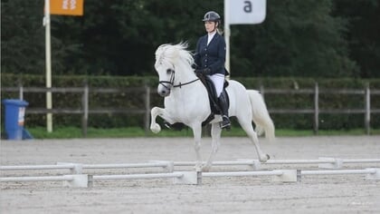 Rijvereniging voor IJslandse paarden viert lustrum op het Nationaal Hippisch Centrum