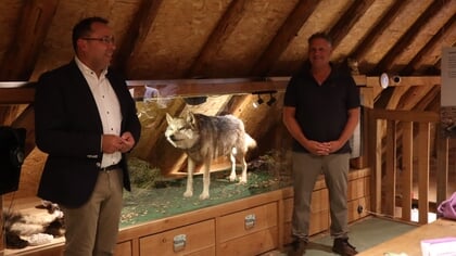 Expositie over wolf op de Veluwe: ‘Wij moeten als mens ons gedrag aanpassen aan de natuur in plaats van natuur naar onze hand te zetten’