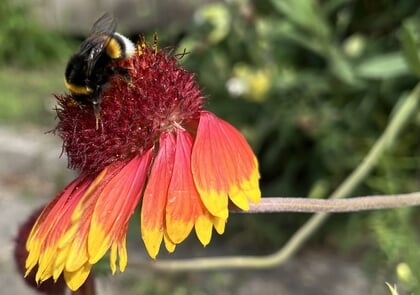De logo’s van de sponsoren van de zomerfotowedstrijd in Ermelo 2025. - Eigen foto