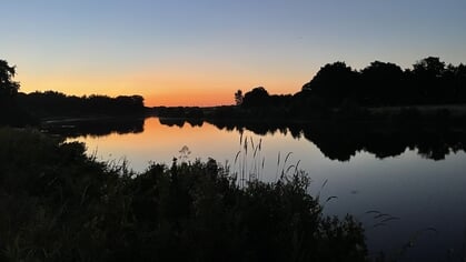 Vijf inzendingen voor zomerfotowedstrijd: natuur overal
