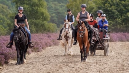 Lezersfoto: paarden tweedaagse is genieten voor deelnemers