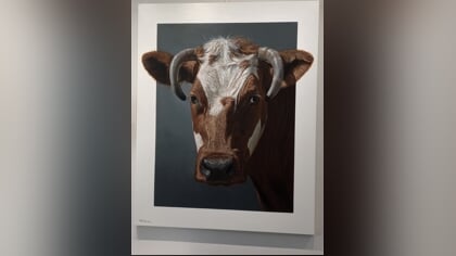 Expositie ‘Andermans Veren’ in Hendrick Hamel Museum in Gorinchem over dieren in de kunst