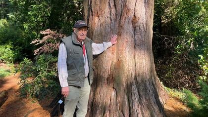Aart Jongekrijg (78) houdt al vijftien jaar het bomenrijk van Landgoed Schovenhorst levend