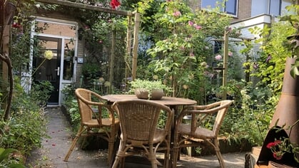Advies van tuincoach in duurzaamheidscolumn: wees lui in de tuin en tips hoe om te gaan met water in de tuin