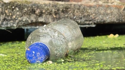 Marnix van der Boom winnaar fotowedstrijd Jouw beeld, onze toekomst: ‘Foto geeft positief beeld over opruimen van zwerfafval’