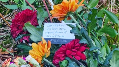 Bloemen voor doodgeschoten wolf bij ecoduct Treeker Wissel