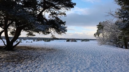 In Beeld: lezersfoto’s van een prachtig winters Harderwijk