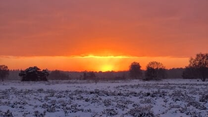 Lezersfoto’s: oranje gloed over de witte Groevenbeekse hei en meer winterfoto’s