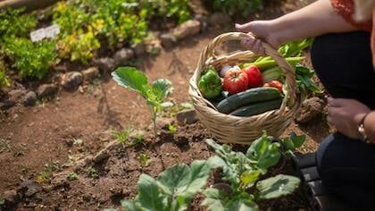 Lezing over hedendaagse tuinbouw: lokaal, duurzaam en het hele jaar door