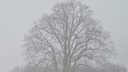 In beeld, deel twee van alle mooie sneeuwfoto’s
