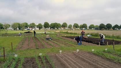 Rabobank: samen maken we impact in de regio Randmeren