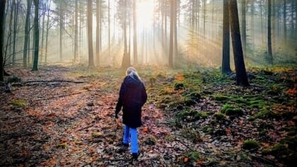 Lezersfoto: het mooie Speulder- en Sprielderbos