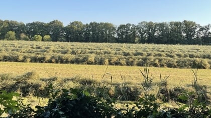 Zienswijze tegen onteigening gronden Halvinkhuizen wordt afgewezen, gemeente Putten zet onteigeningsprocedure door