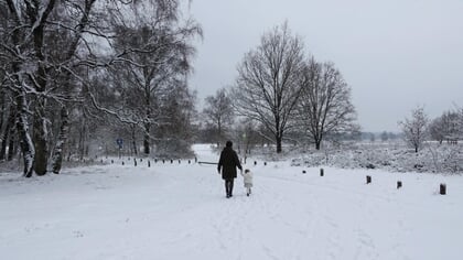 Lezersfoto: Koning Winter blijft verrassen