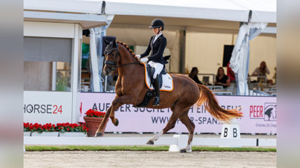 WK Jonge paarden 5-jarigen | Thalia Rockx en Rituals de la Fazenda ook naar finale