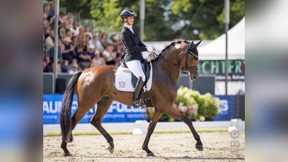 Analyse WK Verden 6-jarigen | Faustino G (DWB) en Betina Jæger wereldkampioen, Franka Loos en Pythagoras vijfde.