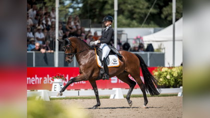 Analyse WK Verden 7-jarigen | Goud voor Odi Murona en Tessa Kole!!! “Zo willen we dat een paard voorgesteld wordt!” *VIDEO*