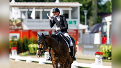 Analyse WK Verden 5-jarigen: Einfach Imposant B wereldkampioen vijfjarigen, Ready to Rumble beste KWPN-paard