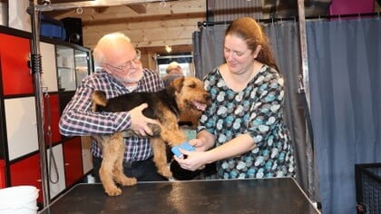 EHBO-cursus waardoor een hond geholpen kan worden bij spoed: ‘Ongeluk zit in een klein hoekje’