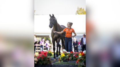 WK Aken | Florinoor Hoogland niet aan start in de eventing, Sanne de Jong neemt plaats over