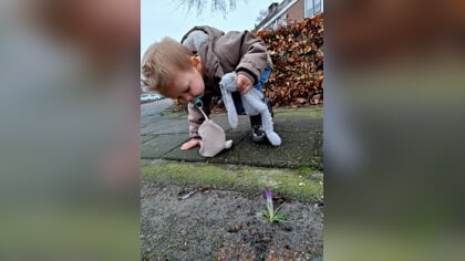 Lezersfoto: niets dan liefde voor het voorjaar