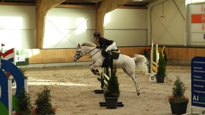 Ermelose amazone Laura Termaat (20) rijdt op NK met Sterretje: ‘Een pony heeft altijd een nadeel tegenover de paarden’