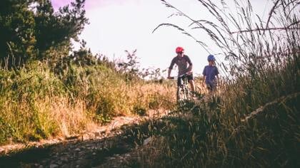 Toerisme in Gelderland groeit: meer overnachtingen en stijgend bezoek aan natuurgebieden