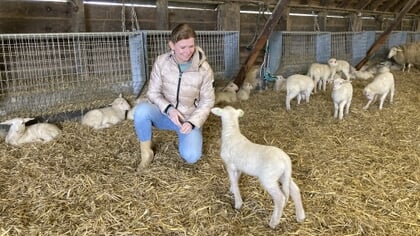 Vrijwilliger Sanne vertelt over haar werk in de voeder- en lammerenteams van Schaapskooi Ermelo: ‘Hier ben ik in actie’